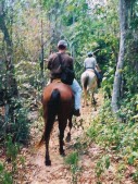 007 - Cozumel Horseback Riding - 2001.jpg