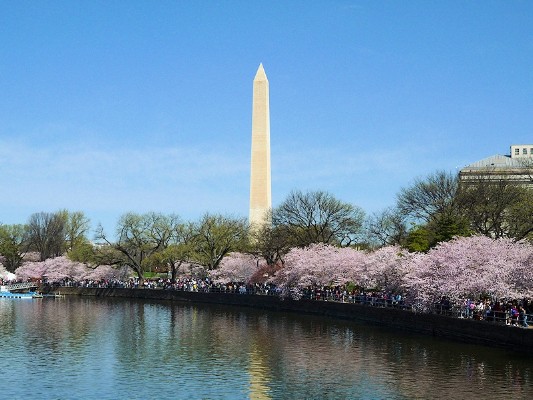 Washington Monument from Bay.jpg