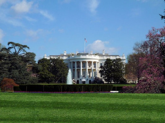 White House Back Lawn.jpg