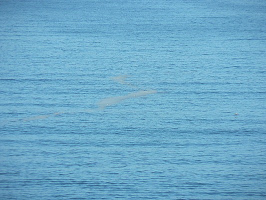 001 - The Blue Sea - 2006.jpg