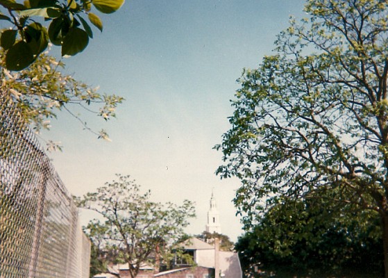 001 - Back Street - 1991.jpg