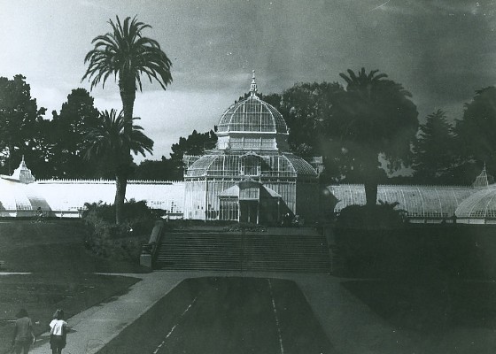 008 - Greenhouse - 1984.jpg