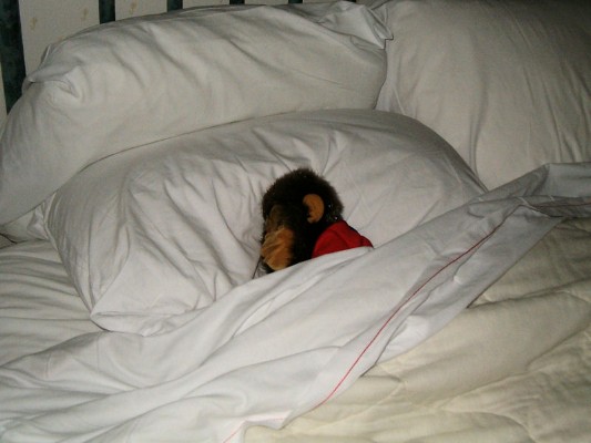 2006 - Resting up Before First Day.jpg
