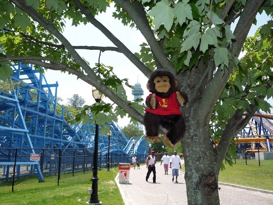 2009 - Leo at Home in the Park.jpg