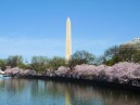 Washington Monument from Bay.jpg