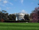 White House Back Lawn.jpg