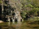 023 - Tree and Brook on Horseback - 2006.jpg