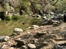 025 - Stones in Brook on Horseback Pic 2 - 2006.jpg