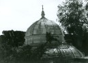 009 - Greenhouse Pic 2 - 1984.jpg