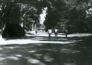 016 - Alameda Park Pic 2 - 1984.jpg