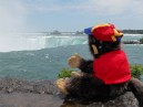 Leo Admiring the Canadian Falls-2011.jpg